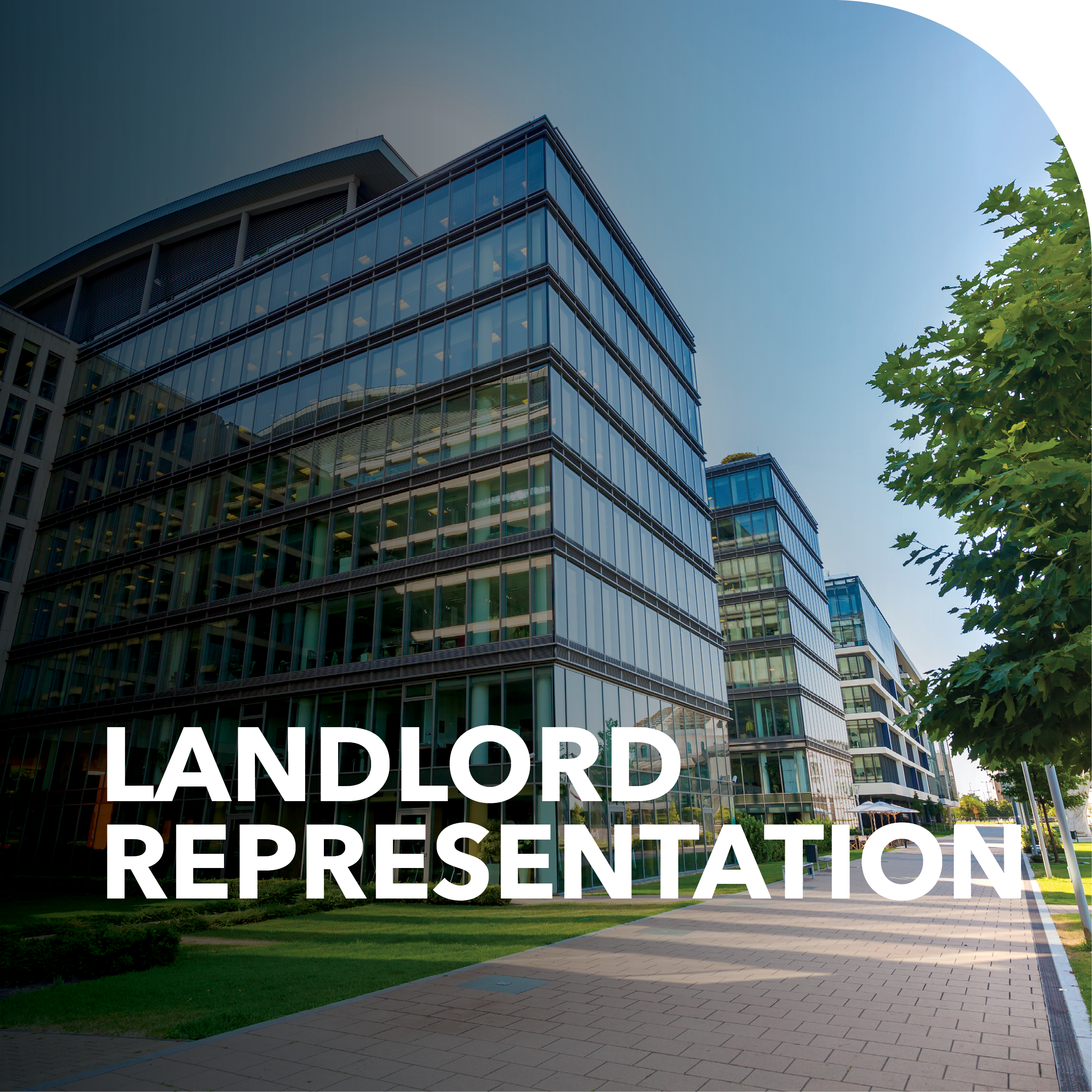 landlord representation