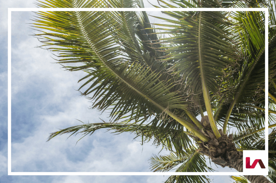 5 Reasons to Invest in Central Florida