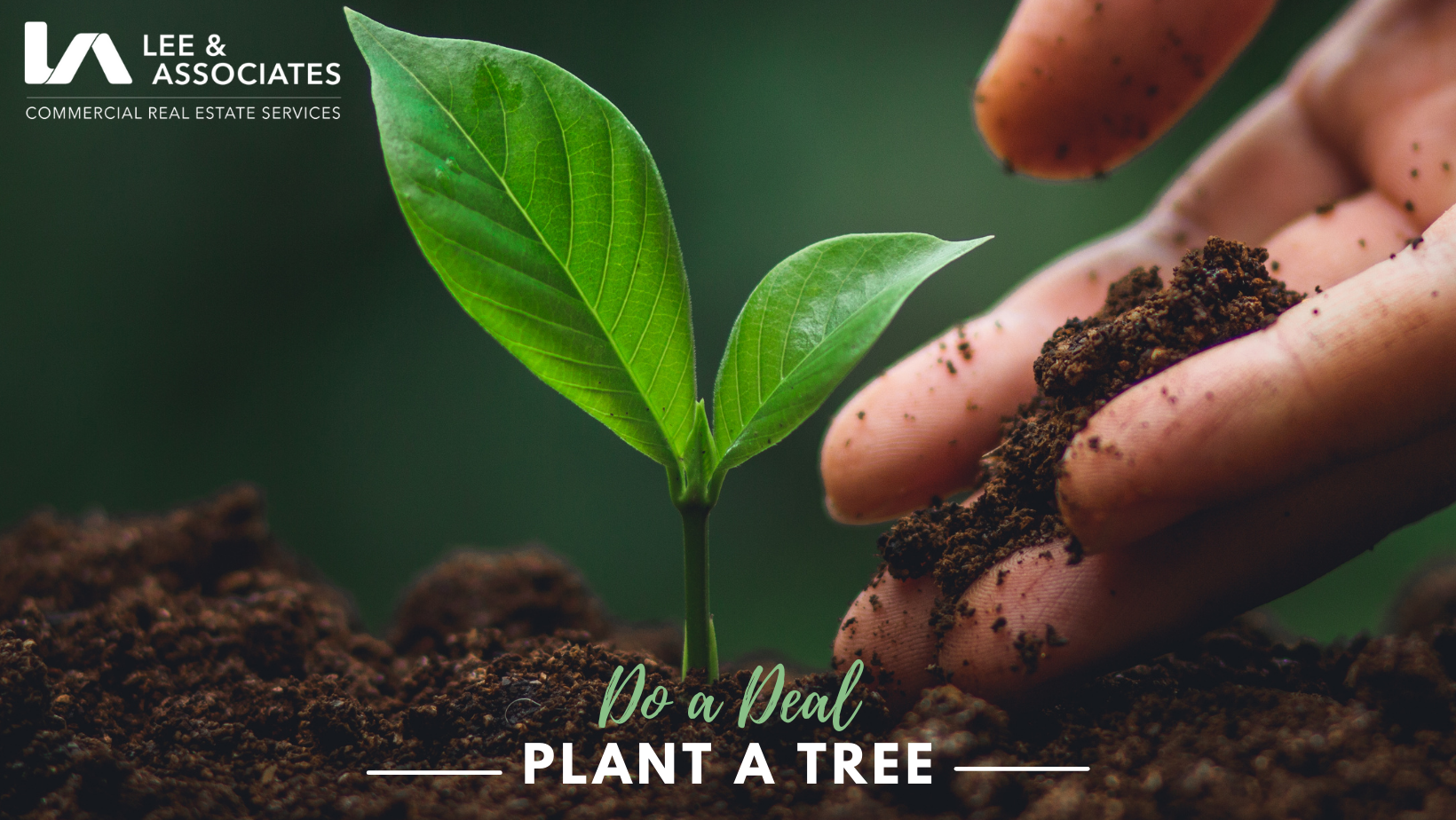 Do a Deal Plant a Tree for Earth Day 2021 Arbor Day Foundation Time for Trees Do a Deal Plant a Tree for Earth Day 2021 Arbor Day Foundation Time for Trees
