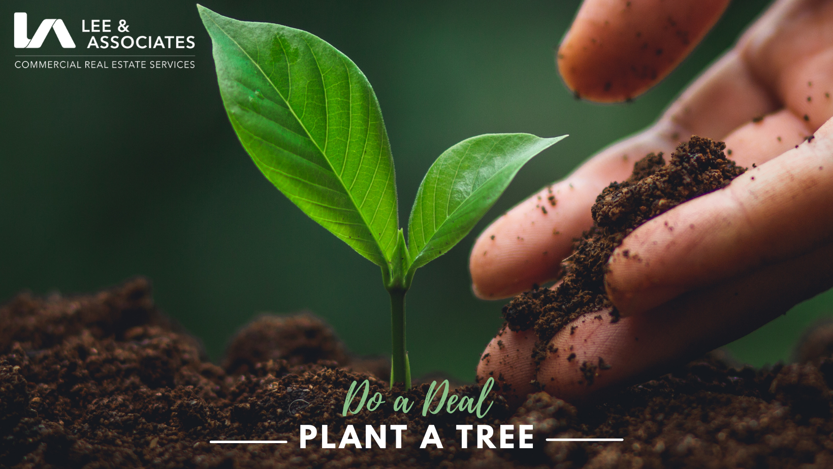 Lee & Associates Pledges to Plant a Tree for Every Deal with the Arbor Day  Foundation - Lee & Associates South Florida