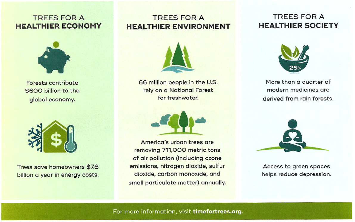 Do a Deal Plant a Tree for Earth Day 2021 Arbor Day Foundation Time for Trees